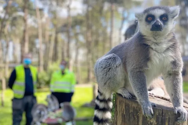 Electrical Maintenance at Yorkshire Wildlife Park Cover